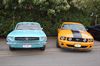 mustang-fever-in-de-schaapsweg