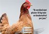 nieuwe-kippenactie-start-dit-weekend