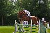 weekend-vol-paardensport-bij-de-meylandtridders