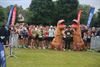 lopen-fietsen-en-beleven-op-boekt-feest