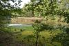 limburgs-landschap-koopt-natuurgebied-terlaemen