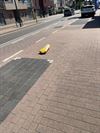 het-tragische-lot-van-verkeerspaaltjes