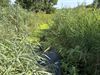 vakantiegroeten-uit-tessenderlo-ham