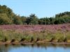 vakantiegroeten-uit-zonhoven-13