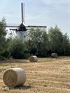 vakantiegroeten-uit-de-moeren