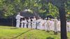 shoshin-dojo-houdt-training-in-japanse-tuin