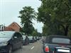 verkeer-strop-door-boom-aan-meylandt