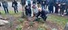 roos-philia-europa-is-gedoopt-in-hesdin-la-foret