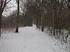 Winter in de Mangelbeekvallei