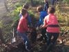 Leerlingen van Bolderberg doen aan bosbeheer