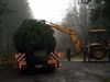 Kerstboom van Saint-Hubert is onderweg