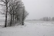 Winterbeelden uit het Bolderdal