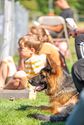 Duitse herdershonden tonen hun kunnen