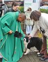 Dierenzegening in Zolder bij Sint-Hubertus