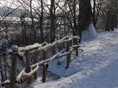 Nog enkele winterbeelden ....