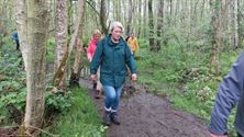 Een vroege ochtendwandeling over het vlonderpad