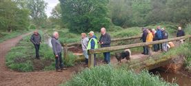 Een vroege ochtendwandeling over het vlonderpad