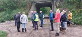 Een vroege ochtendwandeling over het vlonderpad