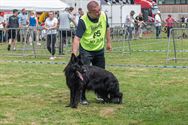 De beste honden uit 25 landen werden beoordeeld