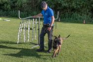 Alle honden leren luisteren naar hun baasje