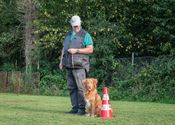 Alle honden leren luisteren naar hun baasje