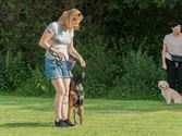 Alle honden leren luisteren naar hun baasje