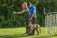 Alle honden leren luisteren naar hun baasje