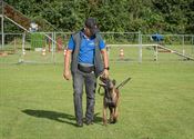 Alle honden leren luisteren naar hun baasje