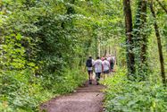 Meer dan 650 wandelaars tegen dementie