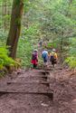 Meer dan 650 wandelaars tegen dementie