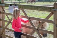 Belangstelling van jong en oud voor VZOC