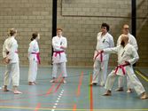 Shoshin Dojo strijdt symbolisch tegen borstkanker