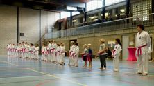 Shoshin Dojo strijdt symbolisch tegen borstkanker