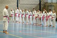 Shoshin Dojo strijdt symbolisch tegen borstkanker