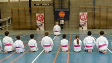 Shoshin Dojo strijdt symbolisch tegen borstkanker