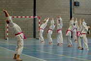 Shoshin Dojo strijdt symbolisch tegen borstkanker