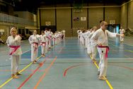 Shoshin Dojo strijdt symbolisch tegen borstkanker