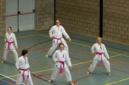 Shoshin Dojo strijdt symbolisch tegen borstkanker