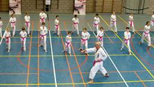 Shoshin Dojo strijdt symbolisch tegen borstkanker