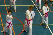 Shoshin Dojo strijdt symbolisch tegen borstkanker