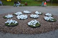 Els Geerdens tovert met chrysanten in Japanse Tuin