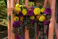 Els Geerdens tovert met chrysanten in Japanse Tuin