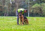 Duitse herders werden grondig gekeurd