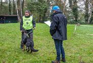 Duitse herders werden grondig gekeurd