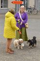 Honden, paarden en pony's gezegend in Zolder