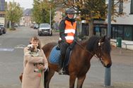 Honden, paarden en pony's gezegend in Zolder