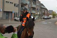 Honden, paarden en pony's gezegend in Zolder