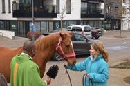 Honden, paarden en pony's gezegend in Zolder