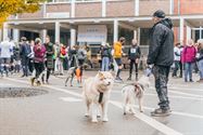 Urban Trail: met fruitsap uit een infuuszakje