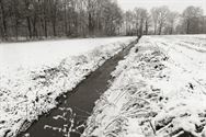 Raak-Overdag hield borrelwandeling in de sneeuw